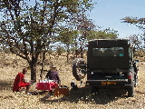 Breakfast on a game drive, Masai Mara, Kenya 